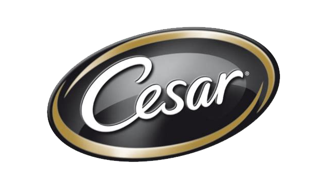 Cesar